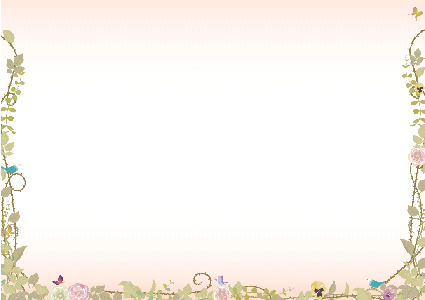 Sea Nuts Club,���\��,�v���O����,�C���X�g,�o���G,�����X�̔���