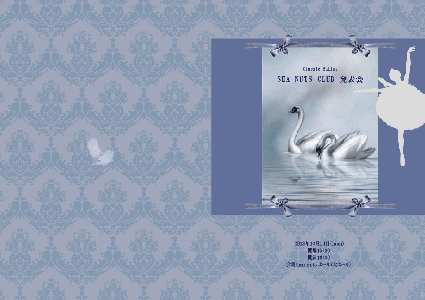 Sea Nuts Club,���\��,�v���O����,�C���X�g,�o���G,�����̌�